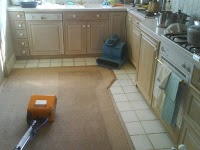 Premier Carpet and upholstery cleaning 352462 Image 0